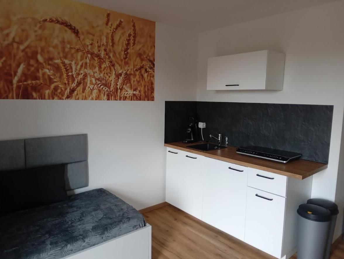 Apartamento Ferienbauernhof Neumuehle Gappenach Exterior foto